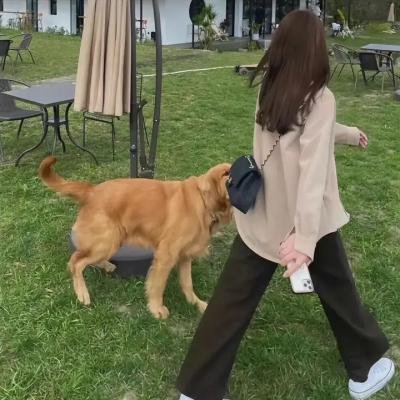 名媛双胞案